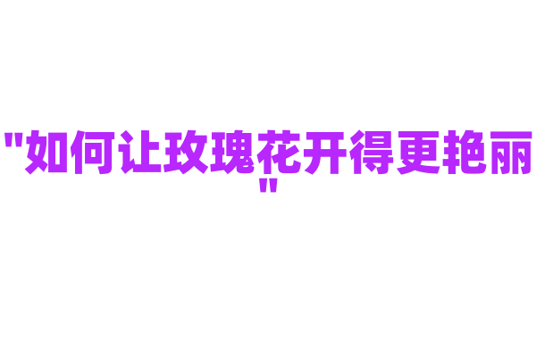 "如何让玫瑰花开得更艳丽"